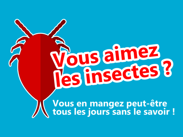 Dégustation d'insectes avec Open Food Facts à la Journée Marmiton dimanche 15 juin à Paris